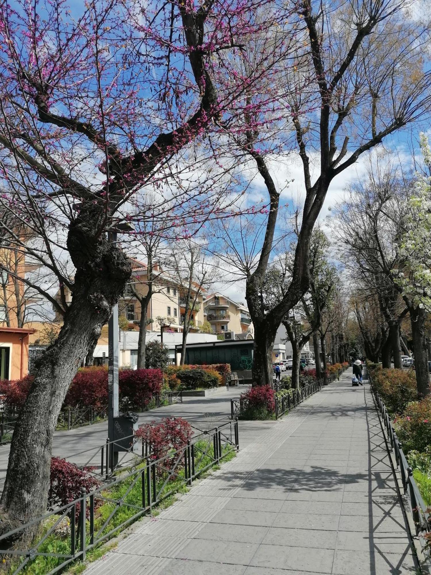 Apartmán La Passeggiata Monterotondo  Exteriér fotografie